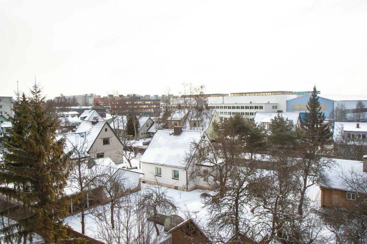 Apartment Pirni *